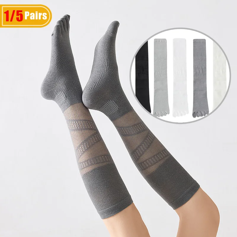 1/5 쌍 여성용 압축 다섯 손가락 양말 긴 스포츠 피 - Badminton Net 리뷰 및 가격