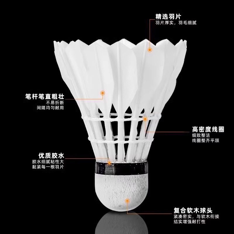 라이온 배드민턴 셔틀콕 거위털 12개입 내구성 킹 화이 - Feather Shuttlecock 리뷰 및 가격