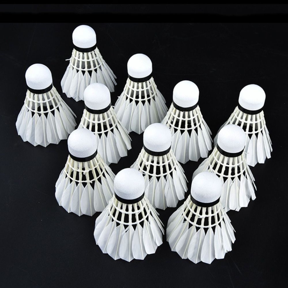 3/6/12Pcs 새로운 흰색 배드민턴 셔틀콕 내구성  - Feather Shuttlecock 리뷰 및 가격